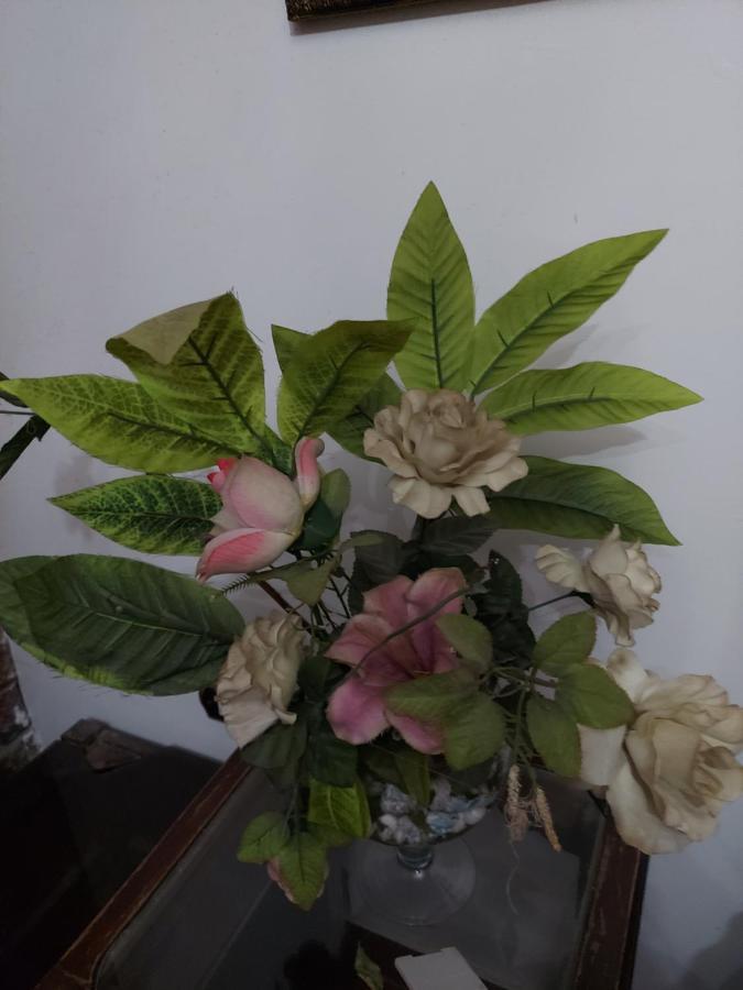 Al Moayad Apartment Near To Genina Mall, Abbas Al Akkad Кайро Екстериор снимка